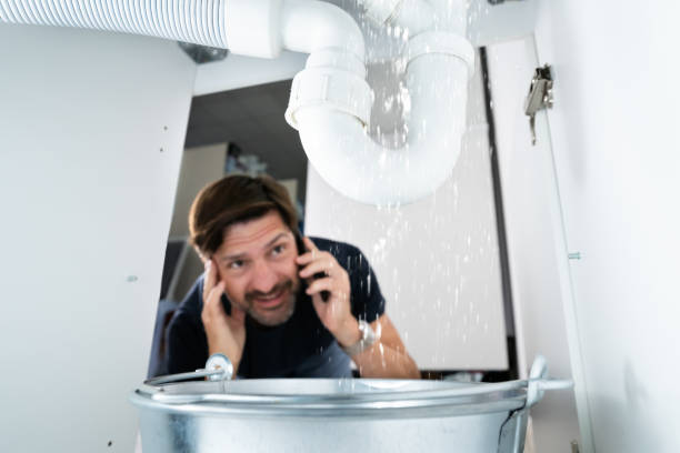 Best Best Plumbers Near Me  in Pipestone, MN